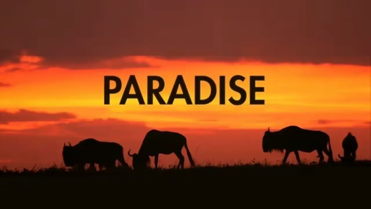 Paradise (tradução) - Coldplay ♫ Letras de Músicas