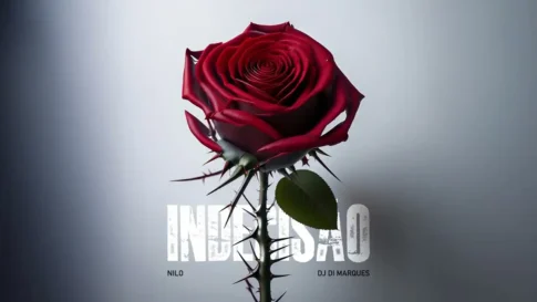 Indecisão - Nilo