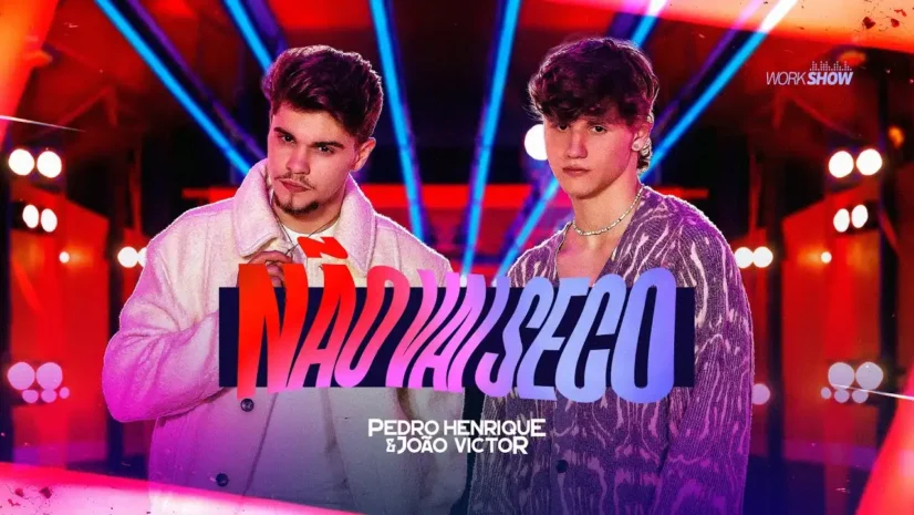 Pedro Henrique e João Victor - Não Vai Seco
